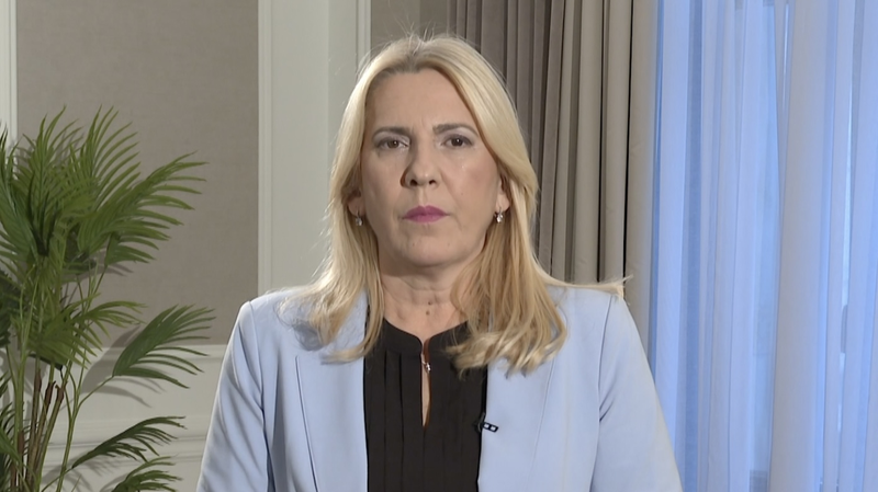 ボスニア・ヘルツェゴビナ議長が中国の人びとに新年メッセージ　ヘビ年の春節を祝福 video poster