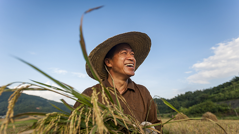 中国「No.1 Central Document」2025年版　農村振興と食料安全保障を強化