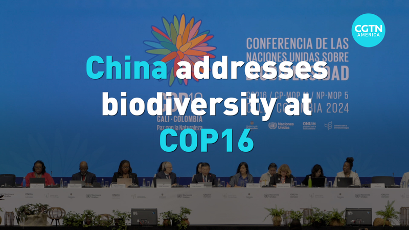 COP16開幕　生物多様性で中国が示す役割とは video poster