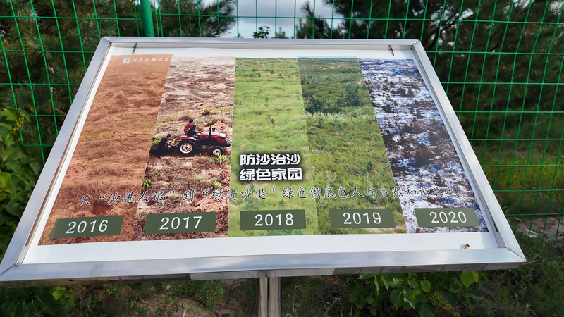 砂漠が緑に　内モンゴル・ホルチン沙地で進む緑化と産業の両立