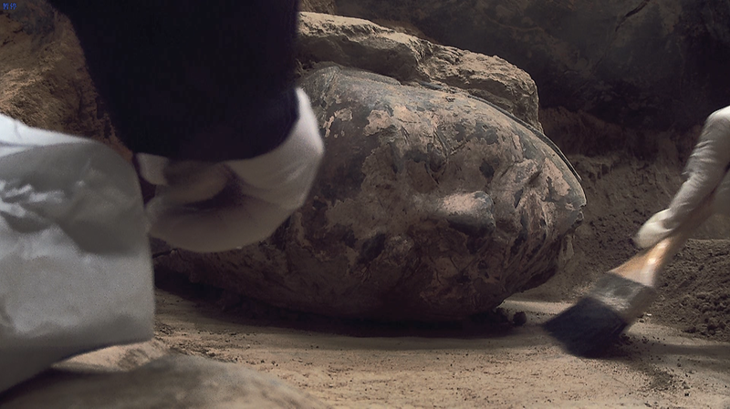 兵馬俑2号坑で将校俑の頭部を精密抽出　彩色を守る最新発掘