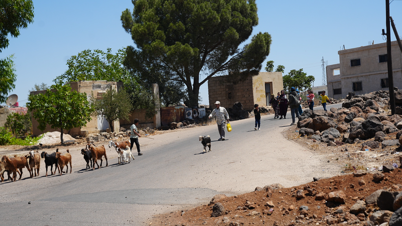 イスラエルとシリアが停戦合意　米仲介でスウェイダ衝突に歯止め