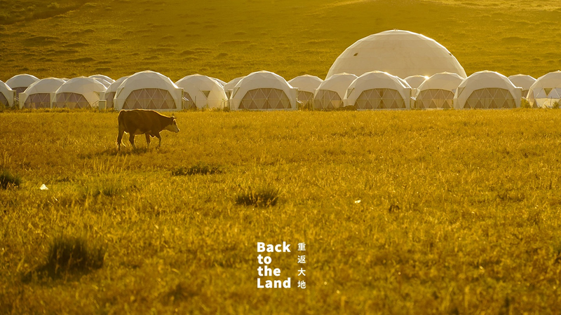 ウランチャブ草原のいのちのリズム 人と家畜が奏でる調和の風景