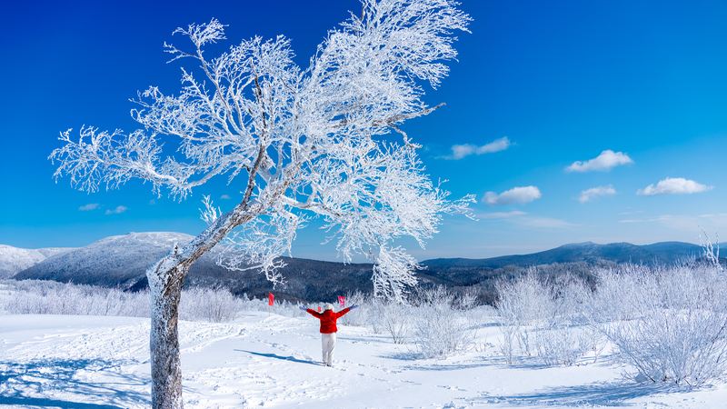 中国雪郷の絶景スポットYangcao Mountain：雪と朝日を楽しむ冬の旅