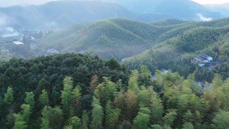 上海から車で3時間 中国のハンプトンズMoganshanでステイケーション video poster