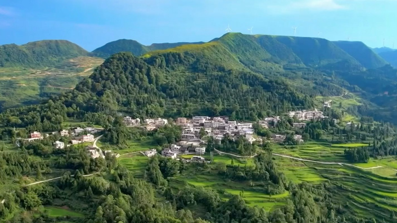 中国・安吉県のグリーン成長　石材の町が観光と竹・白茶でよみがえる