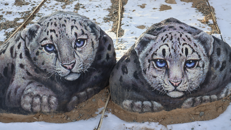 新疆ハミの地質公園、生命感あふれる岩絵アートが訪問客を魅了