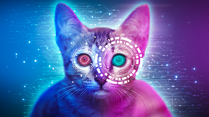 TSMXMPST1XZAFWOTMMN5 - NewsTomo – 日本語で読む、世界のニュースハブ 百度のAIが「動物の声」を翻訳? 特許申請が示す次世代コミュニケーション