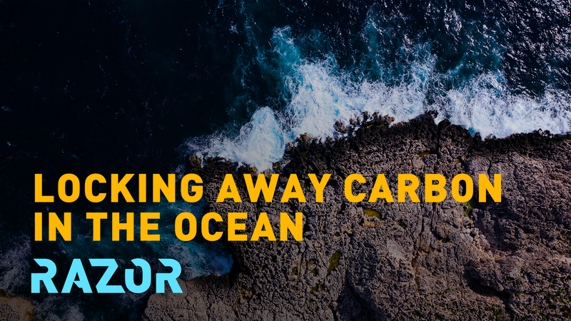 海の炭素循環を4分に短縮　シチリア発LimenetのCO2除去技術 video poster