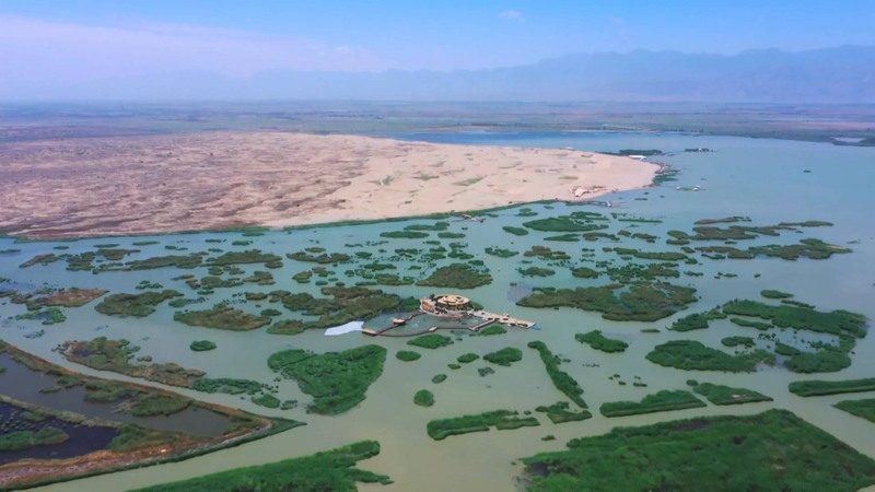 テンゲル砂漠を緑と太陽光の拠点に　中国・寧夏で進む砂漠再生 video poster