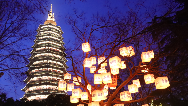 中国・常州の紅梅公園に「祝福の木」　ランタンが春夜を彩る