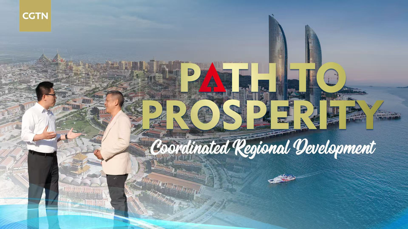 中国の協調的な地域発展戦略：沿海と内陸の格差をどう縮めるか video poster