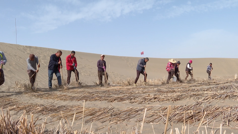 中国のタクラマカン砂漠で進む砂漠化対策　草方格と太陽光で「緑の壁」 video poster