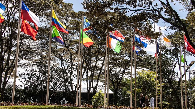 中国支援の昆明生物多様性基金、自然保護加速に手応え