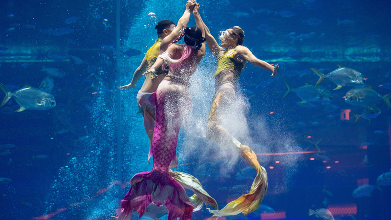 三亜でマーメイド競技会　夢の人魚が国際スポーツになる video poster