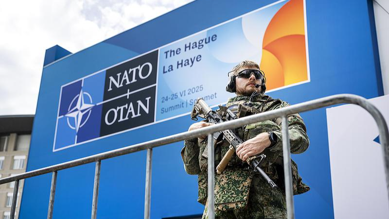 NATO首脳会議、防衛費をGDP比5％へ　世論はどう見る？