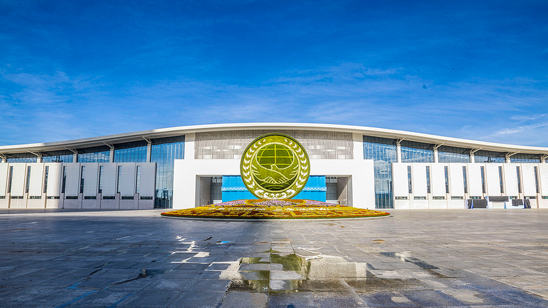 天津でSCOサミット開催　花に彩られた街が各国首脳を歓迎