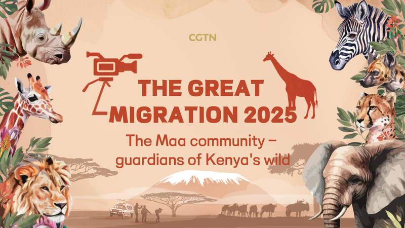 ケニアの「野生の守り手」マアの人々を追うCGTNライブ配信 video poster