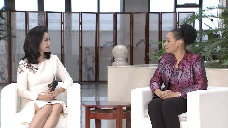 モザンビーク大使が語る北京宣言30年と女性の権利のいま video poster