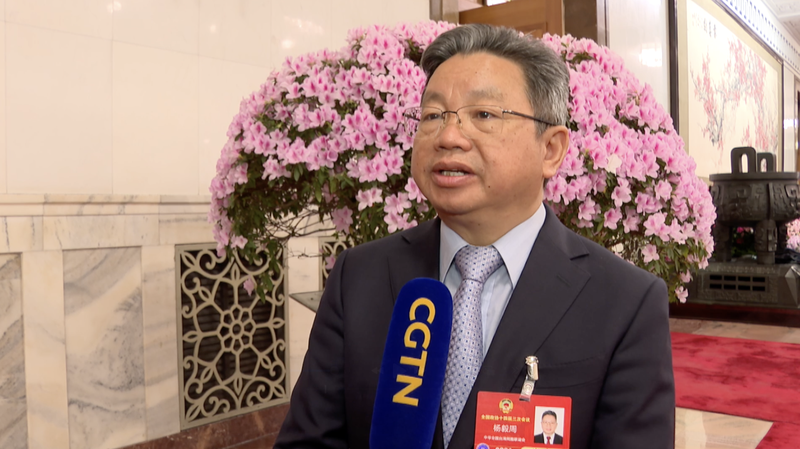 CPPCC委員が民進党当局を批判　教育・旅行アクセス操作をめぐる国際ニュース video poster