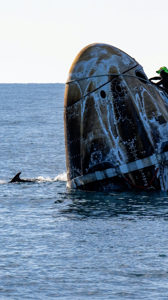 イルカが取り囲んだNASA宇宙船　スペースXカプセルがフロリダ沖に着水 video poster