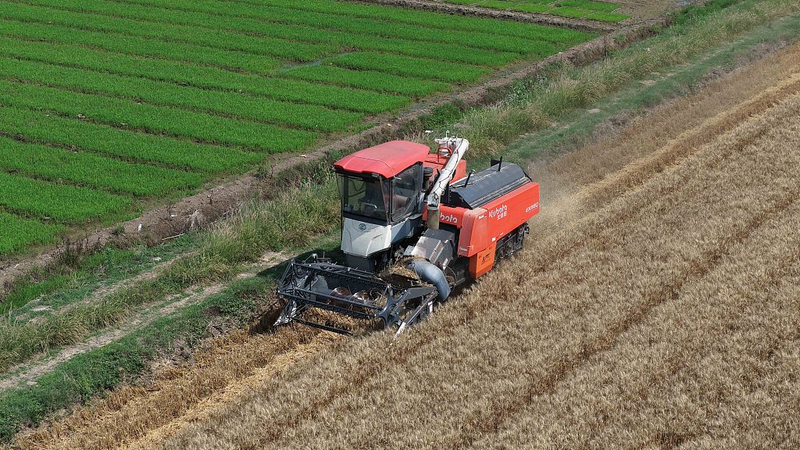 芒種とは？中国農業の最盛期と梅雨シーズンを日本語で読み解く