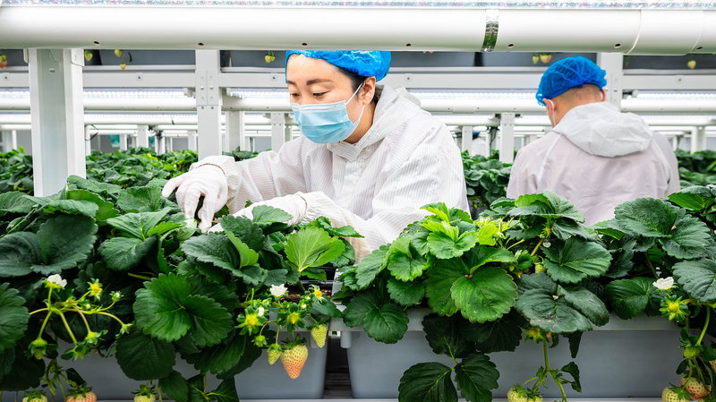 グリーン転換は「足かせ」ではない：中国の新質生産力が示す可能性