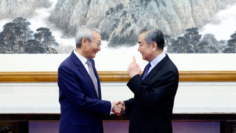 国際ニュース 王毅外相が上海協力機構（SCO）支援継続を約束