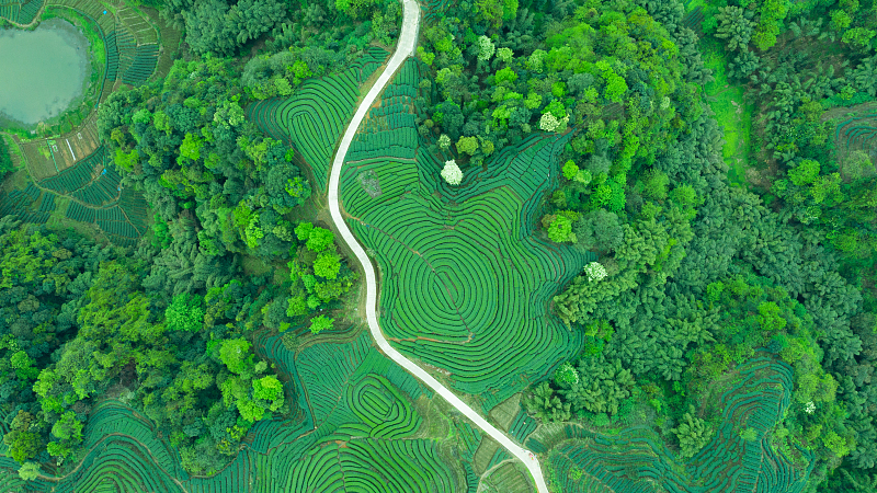 成都会議で習近平エコ文明思想の世界的意義を分析する新報告書