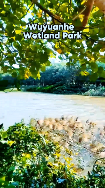 海口のWuyuanhe湿地公園 「自然の酸素バー」が映す都市と自然 video poster
