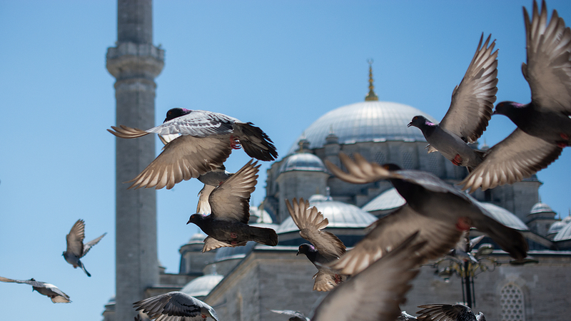 ウクライナとロシアの和平協議　会場外観ライブ映像が映すもの video poster