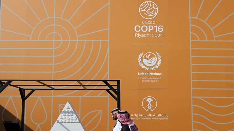 【国際ニュース】中国の砂漠化対策が示す持続可能な未来へのロードマップ