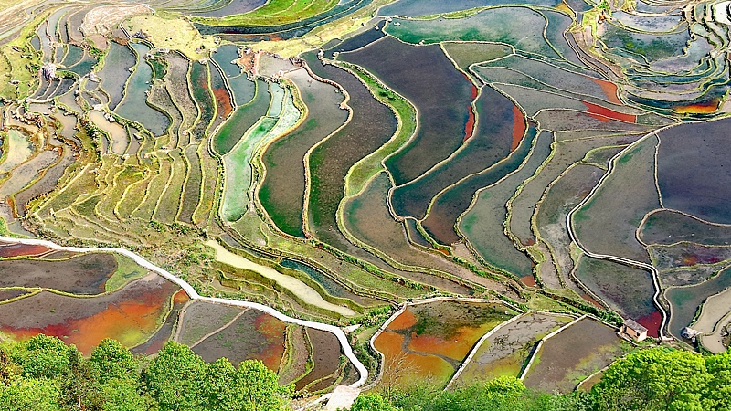 世界遺産・Honghe Hani Rice Terraces　陽光にきらめく1200年の棚田