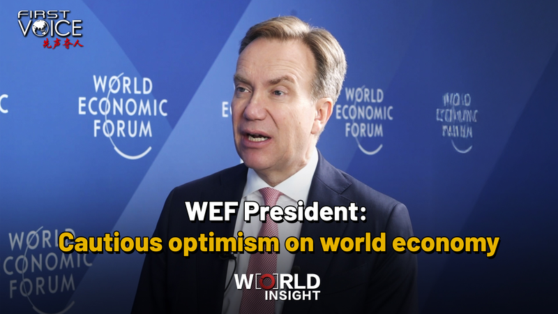 世界経済に慎重な楽観論　WEFブレンデ氏が語る成長と中東情勢 video poster