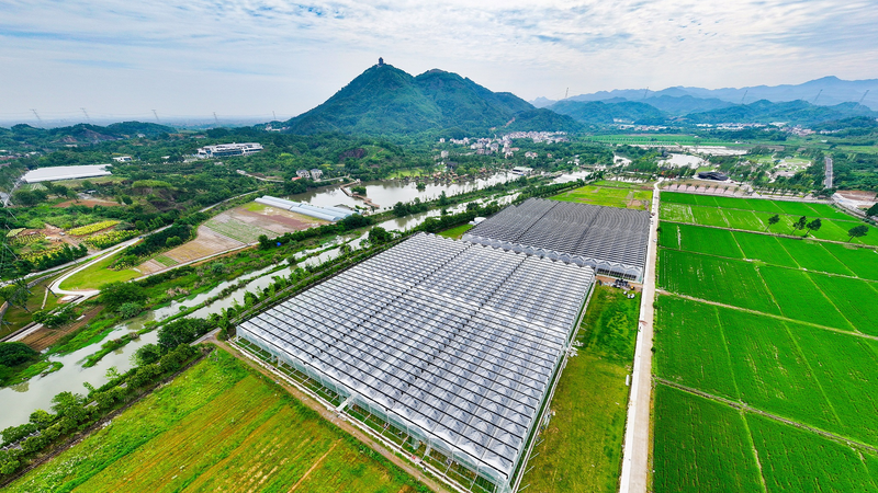 中国の2025年中央一号文件　農業テックと食料安全保障を読む