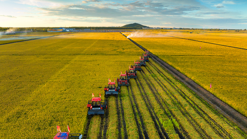 中国の穀物買い付け、2024年は約4.2億トンへ　食料安全保障をどう支える？