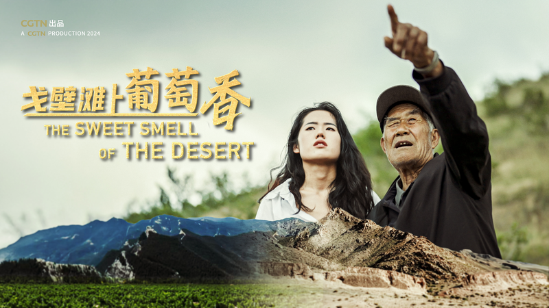 ゴビ砂漠がブドウ畑に　CGTNドキュメンタリー「The Sweet Smell of the Desert」 video poster