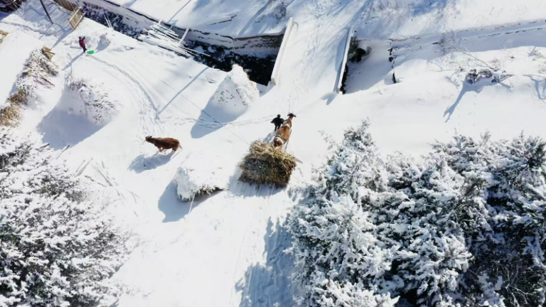 中国本土・吉林省「松嶺雪村」冬の静けさ――雪景色が映す暮らし