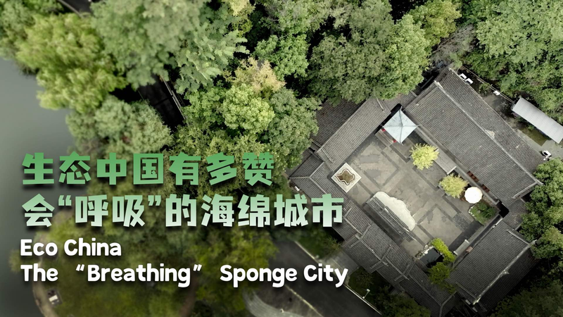 中国・重慶の「呼吸するスポンジシティ」 璧山区発エコ都市モデル video poster