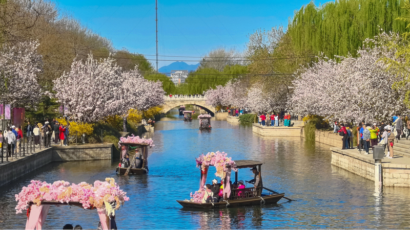 中国の「緑は金」戦略：北京の青空290日が映すエコ文明の現在地
