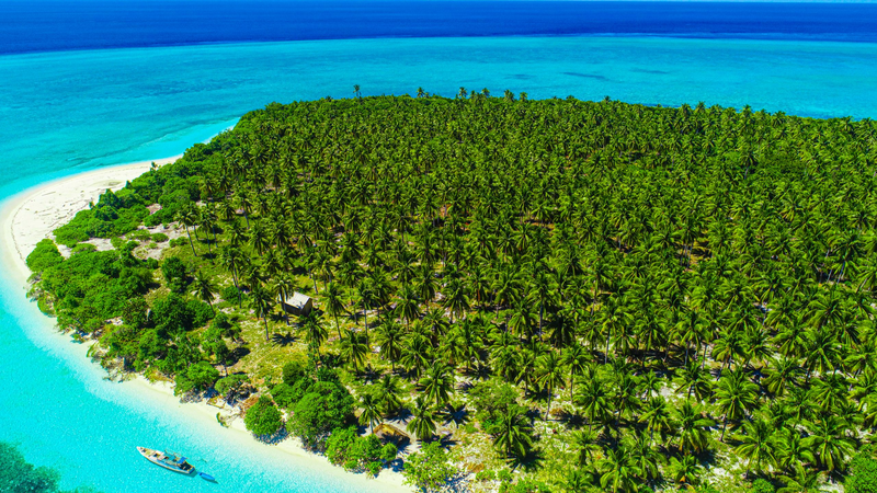 APECとインドネシア・ワカトビ国立公園 海の宝石が映す持続可能な観光