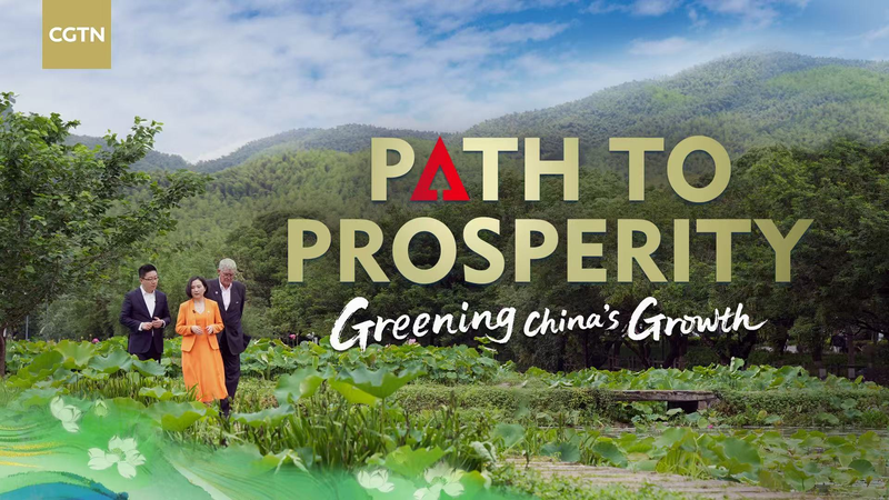中国のグリーン成長を描くCGTN「Path to Prosperity」とは video poster