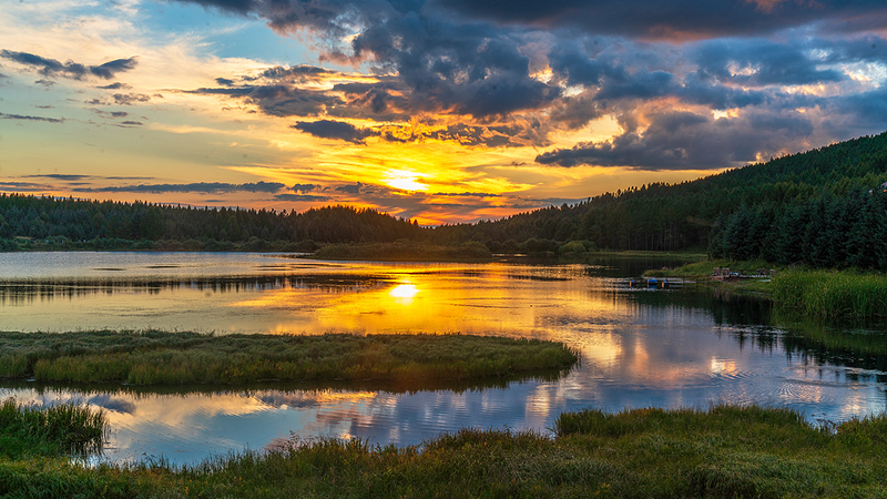 砂漠だった土地が経済のエンジンに：中国の砂漠化対策と再生のいま