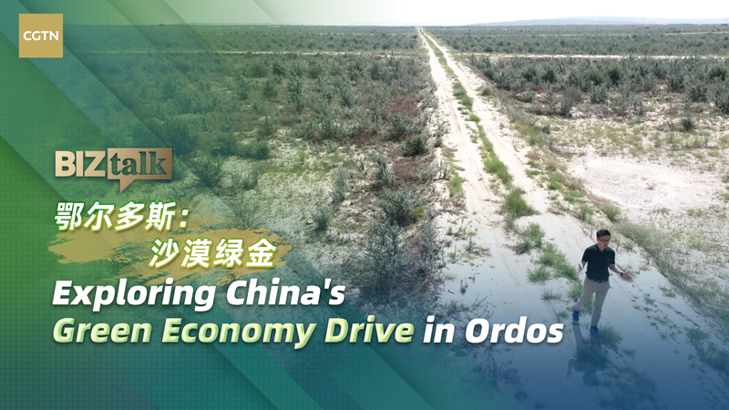 中国・オルドスの緑の経済　砂漠から生まれるエコと成長の新モデル video poster