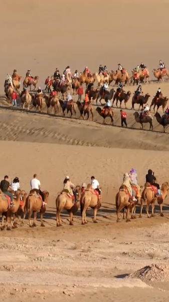 一帯一路観光で連携強化を　専門家がデータ共有と善意を提言 video poster