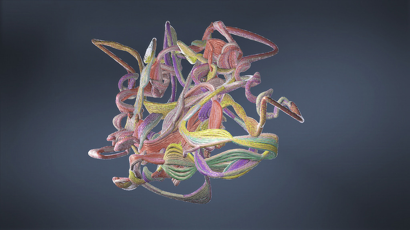 中国研究チーム、AIタンパク質モデルで収斂進化の仕組みを解読