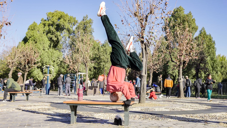 中国の早朝公園で見る、武術と現代フィットネスの静かな共演