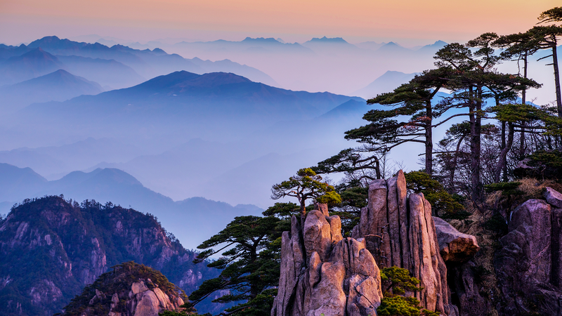 映画がつなぐ中国旅行とアフリカ　若者が語るリアルな姿