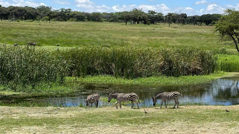 世界湿地の日2025：なぜ湿地は地球と私たちの未来に不可欠なのか