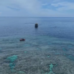 中国、黄岩島のサンゴ礁生態系調査報告書を公表　造礁サンゴ被度38.8%